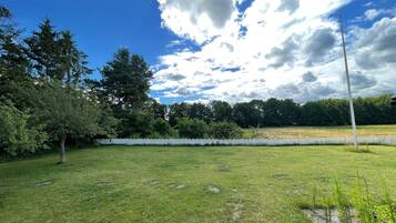 A grassy field with a white fence, trees, and a clear sky.