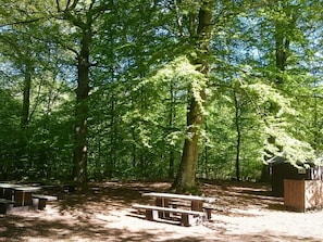 A forested campsite with picnic tables and a small wooden shelter. - 4 Person Holiday Home in Everod (Everöd)