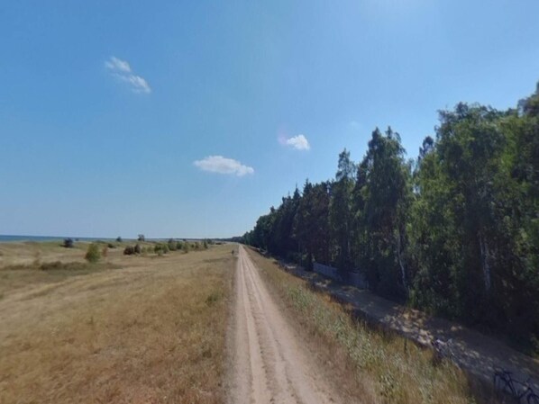Un camí de terra vella flanquejat per prades seques i un bosc dens.