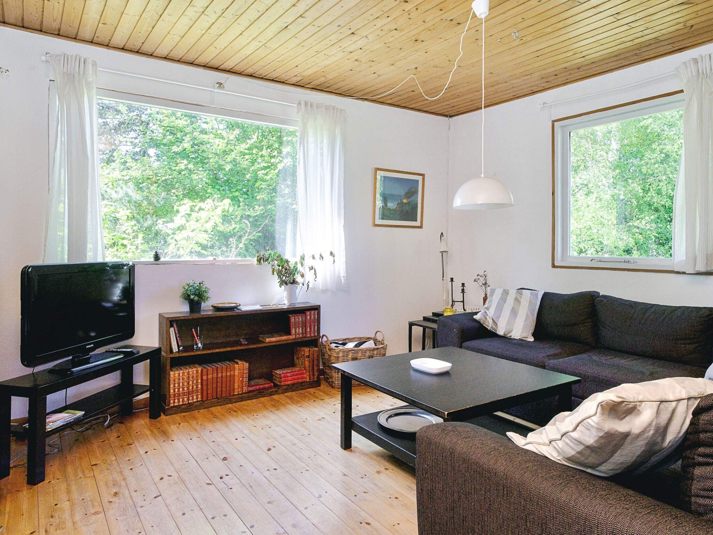 Olohuone, jossa on televisio, kirjahyllyjä, sohva ja sohvapöytä.