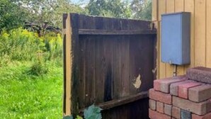 Ein Holztor, eine Ziegelmauer und ein blauer Schaltkasten.