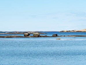 Et kystlandskab med store sten og roligt vand.