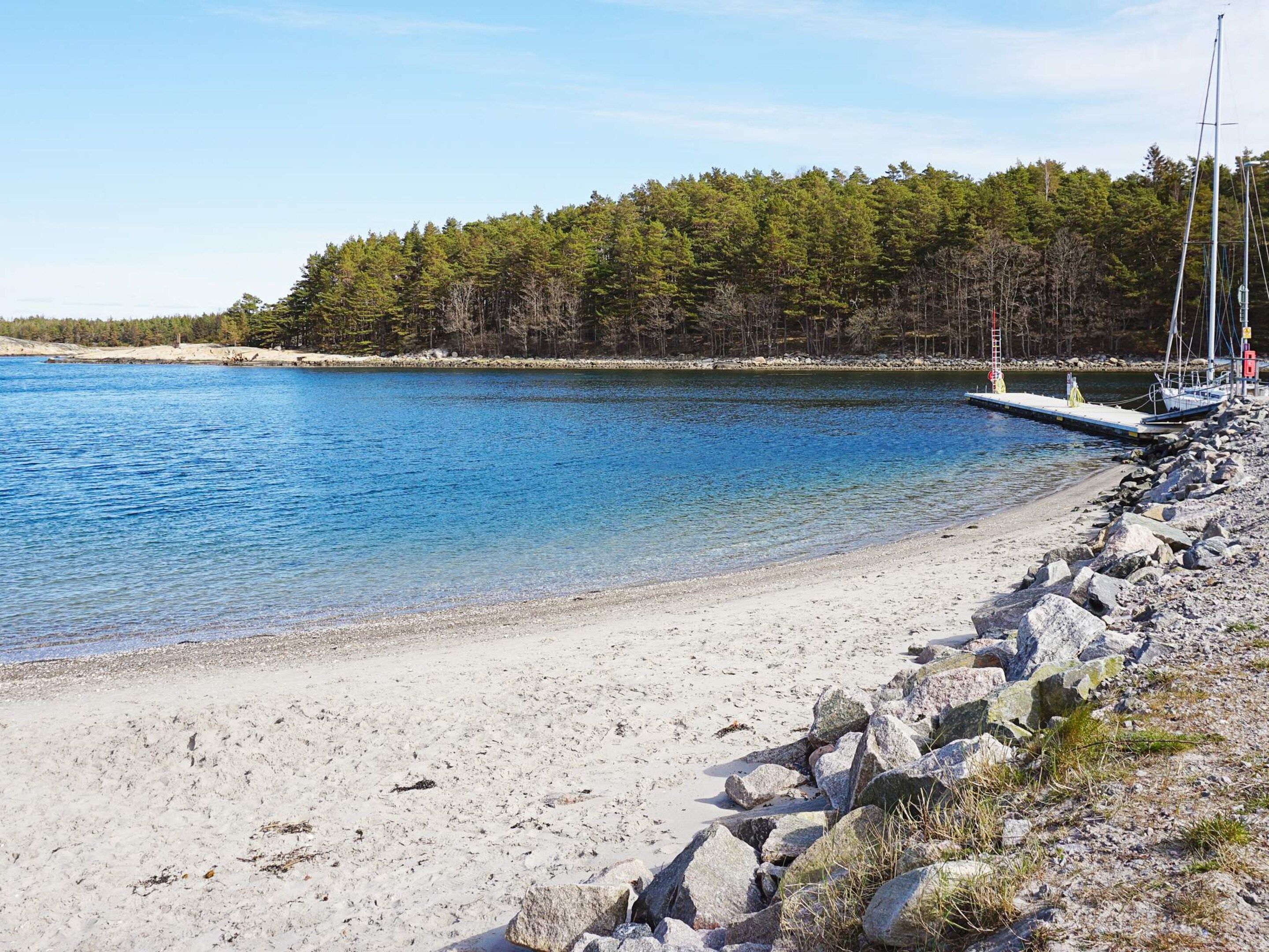 A beach with clear water, a rocky shoreline, and a forest in the background.