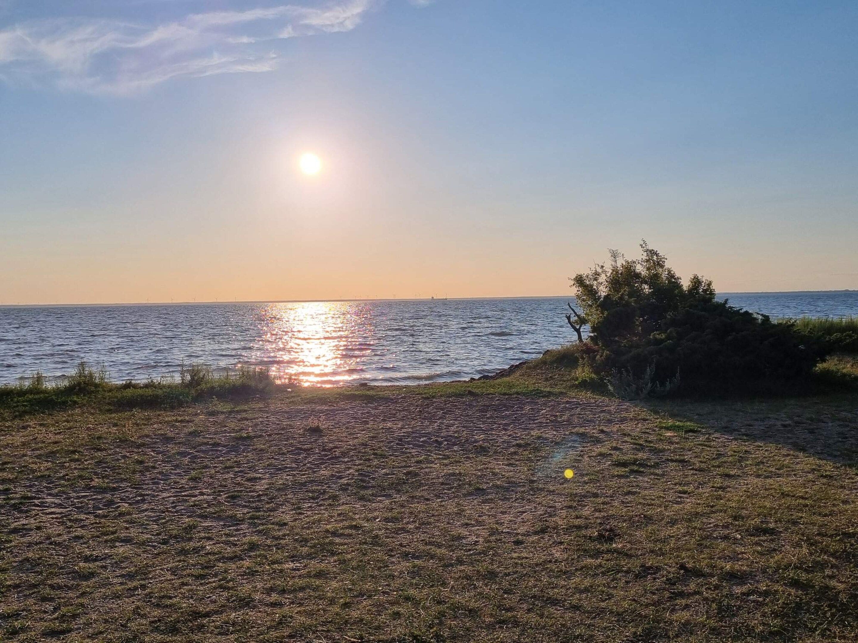 A beach with a clear sky, a sun reflecting on the water, and sparse vegetation.