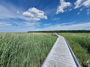 House | Miscellaneous