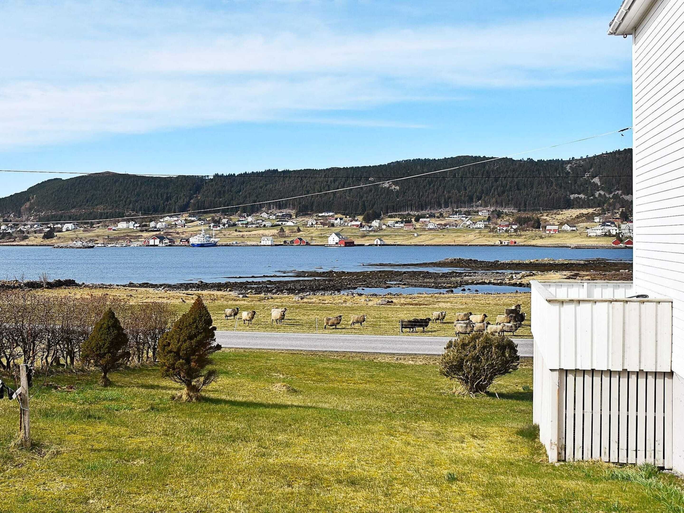 House | Miscellaneous