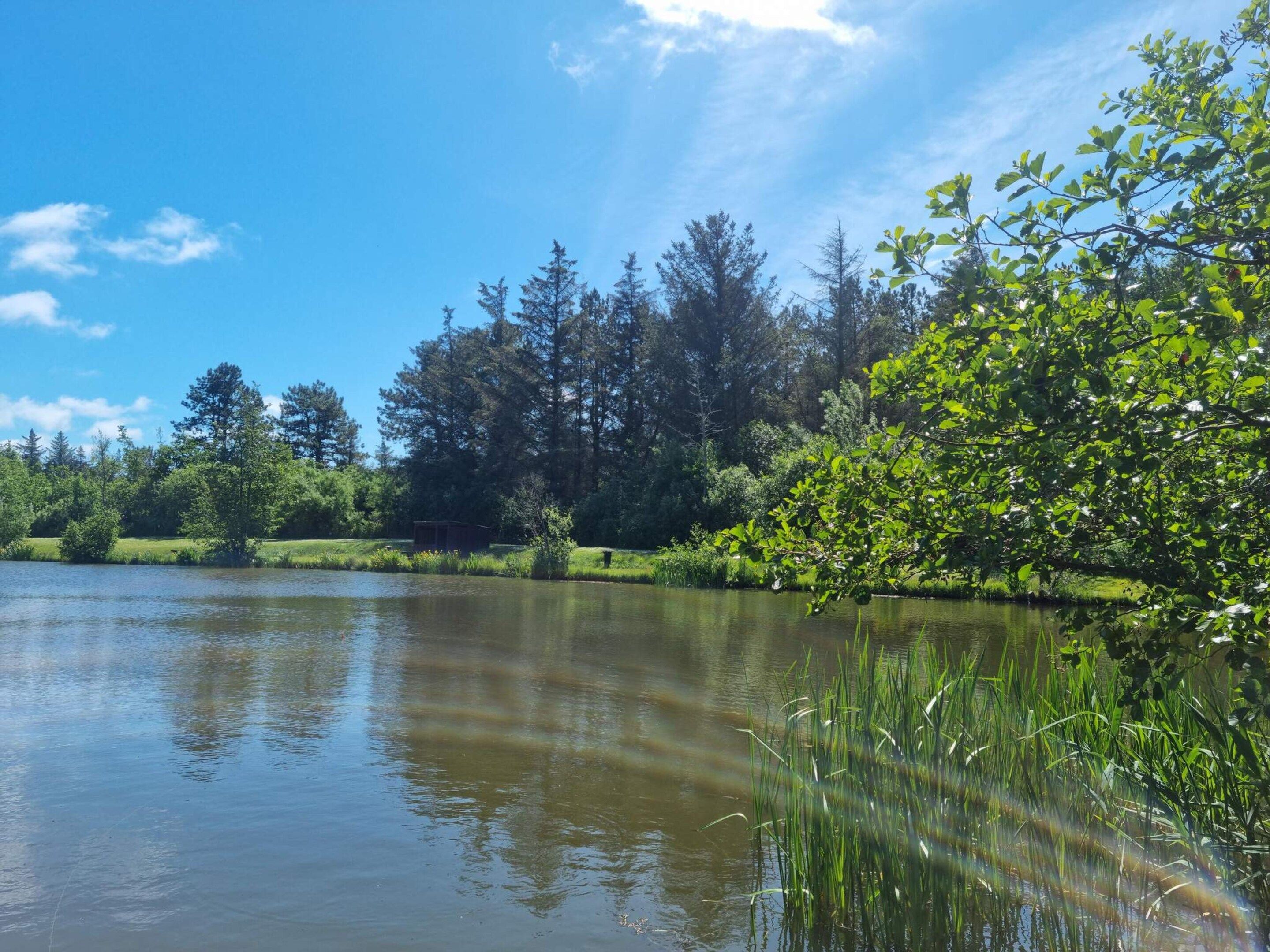 A calm lake with surrounding greenery and trees.