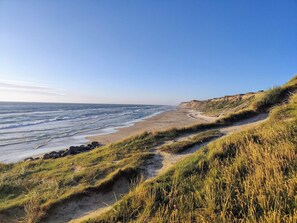 A coastal landscape with a sandy beach, grassy dunes, and a clear blue sky.