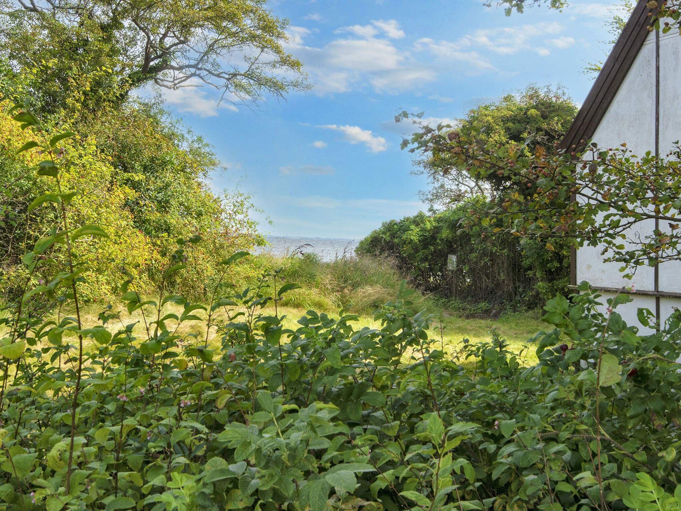 A garden with a variety of plants and trees, a white building with a brown roof, and a clear sky.