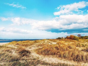Căn hộ | Bãi biển