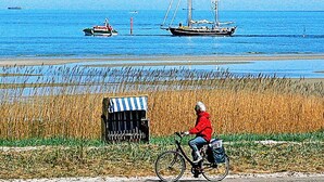 A person riding a bicycle on a path beside a field with a striped trash bin and a sailboat in the water. - 5 Star Holiday Home in Wendtorf (Wendtorf)