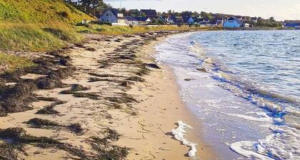 4 Person Holiday Home in Farso