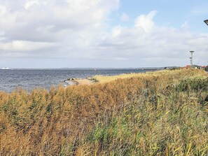Un paisaje costero con una playa arenosa, dunas cubiertas de hierba y una masa de agua.