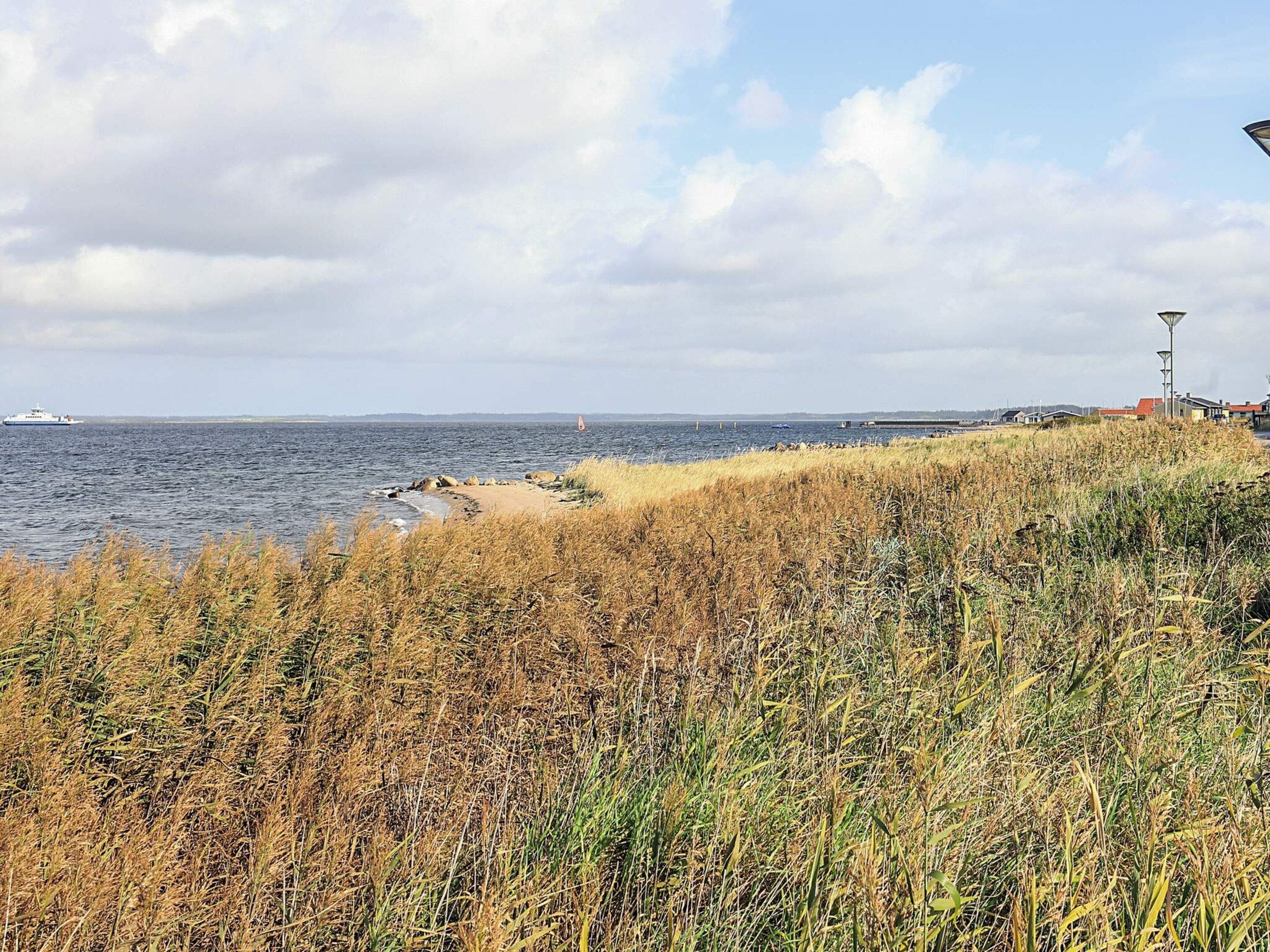 A coastal landscape with a sandy beach, grassy dunes, and a body of water.