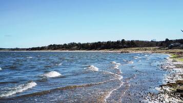 A coastal landscape with a clear sky, a rocky shoreline, and a forested area in the background.