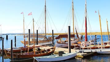 Uma marina com vários barcos atracados, incluindo um barco de madeira com cabine em destaque.