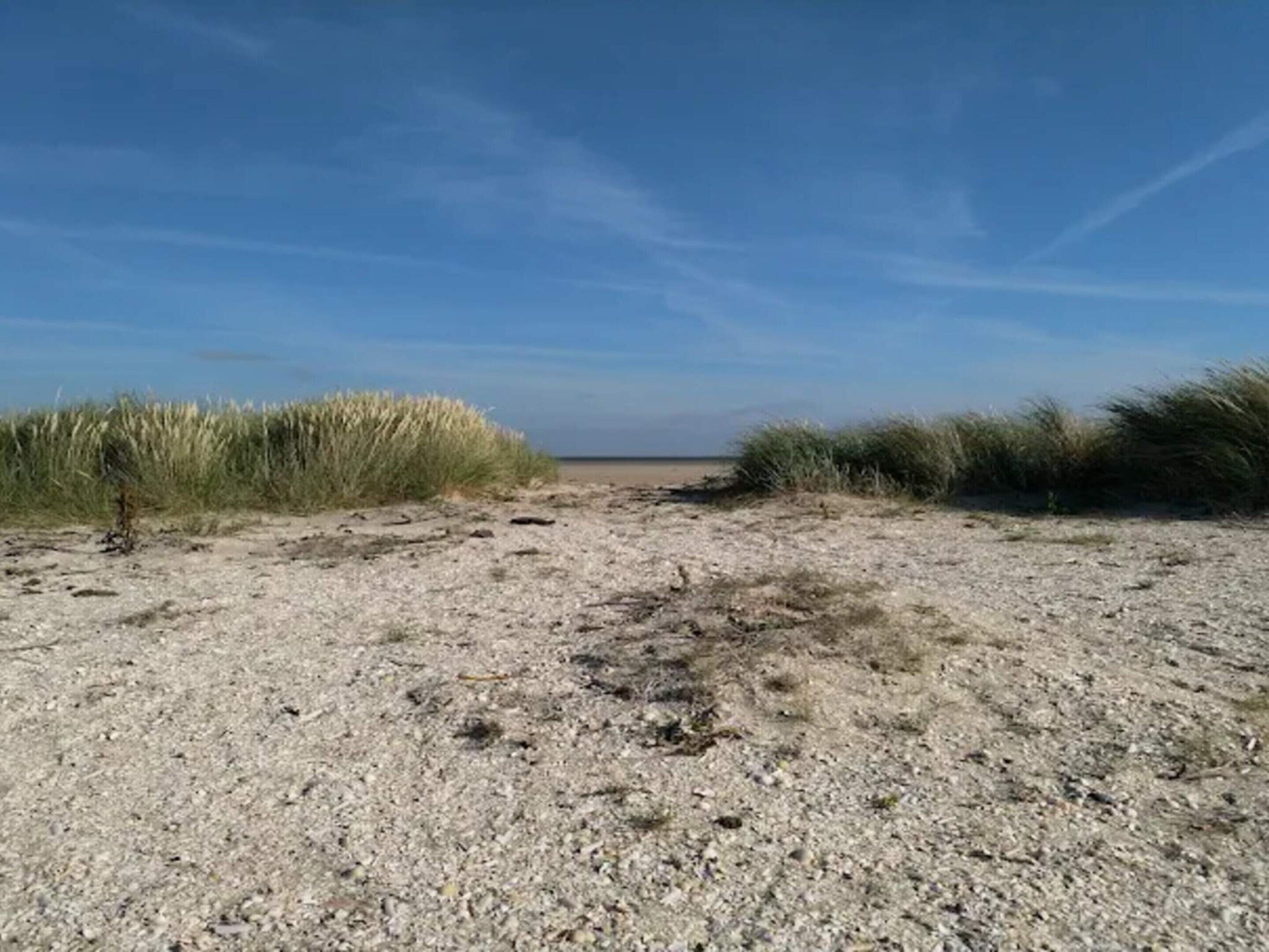 A beach with pebbly sand and tall grasses on either side.