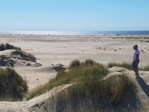 A sandy beach with dunes and sparse vegetation.