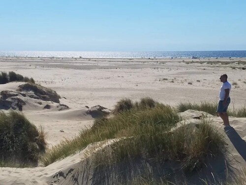 4 Person Holiday Home in Fano