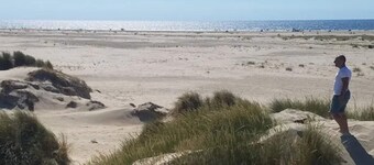 4 Person Holiday Home in Fano