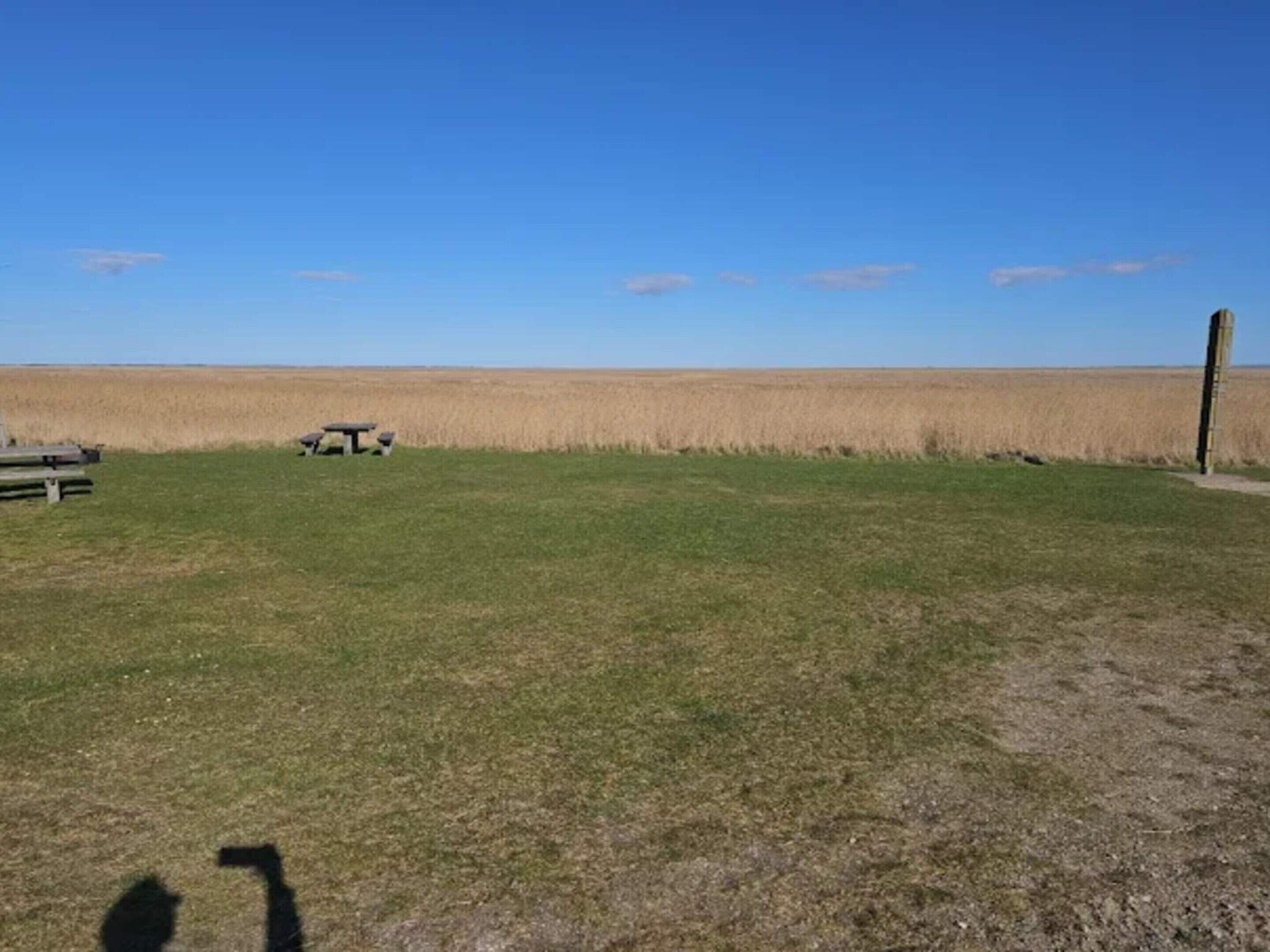 A grassy field with a picnic table and a wooden post.