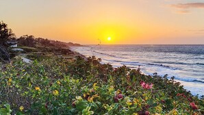 A coastal landscape with a sunset over the ocean, vegetation in the foreground, and a distant shoreline with buildings. - 8 Person Holiday Home in Gilleleje (Gilleleje)