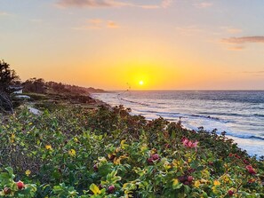 A coastal landscape with a sunset over the ocean, vegetation in the foreground, and a distant shoreline with buildings. - 8 Person Holiday Home in Gilleleje (Gilleleje)