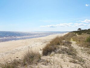Una playa con dunas de arena y vegetación escasa.