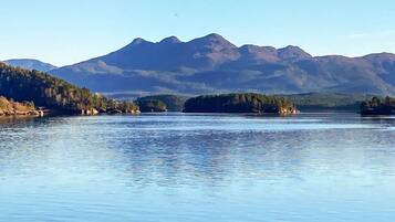 ์ํํธ | ์์์ฅ