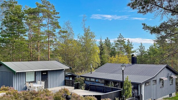 Uklassifisert bilde, 1 av 29, knapp