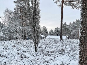 獨棟房屋 | 住宿一隅