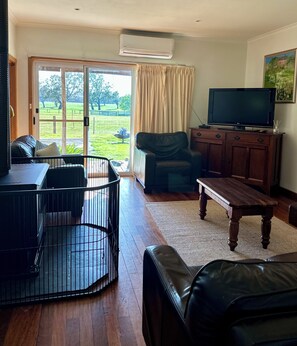 Smart TV, fireplace, books