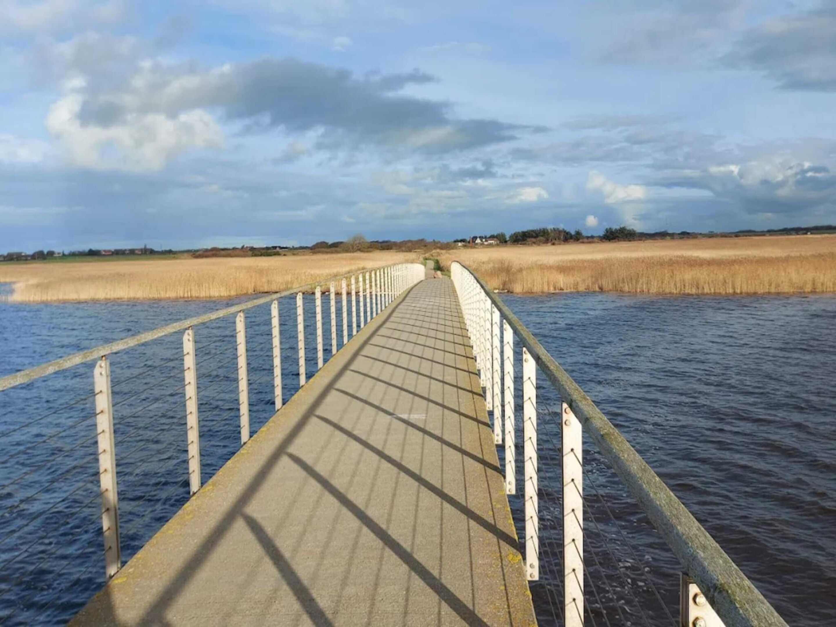Un muelle de madera que se adentra en una masa de agua, con un campo cubierto de césped al fondo.