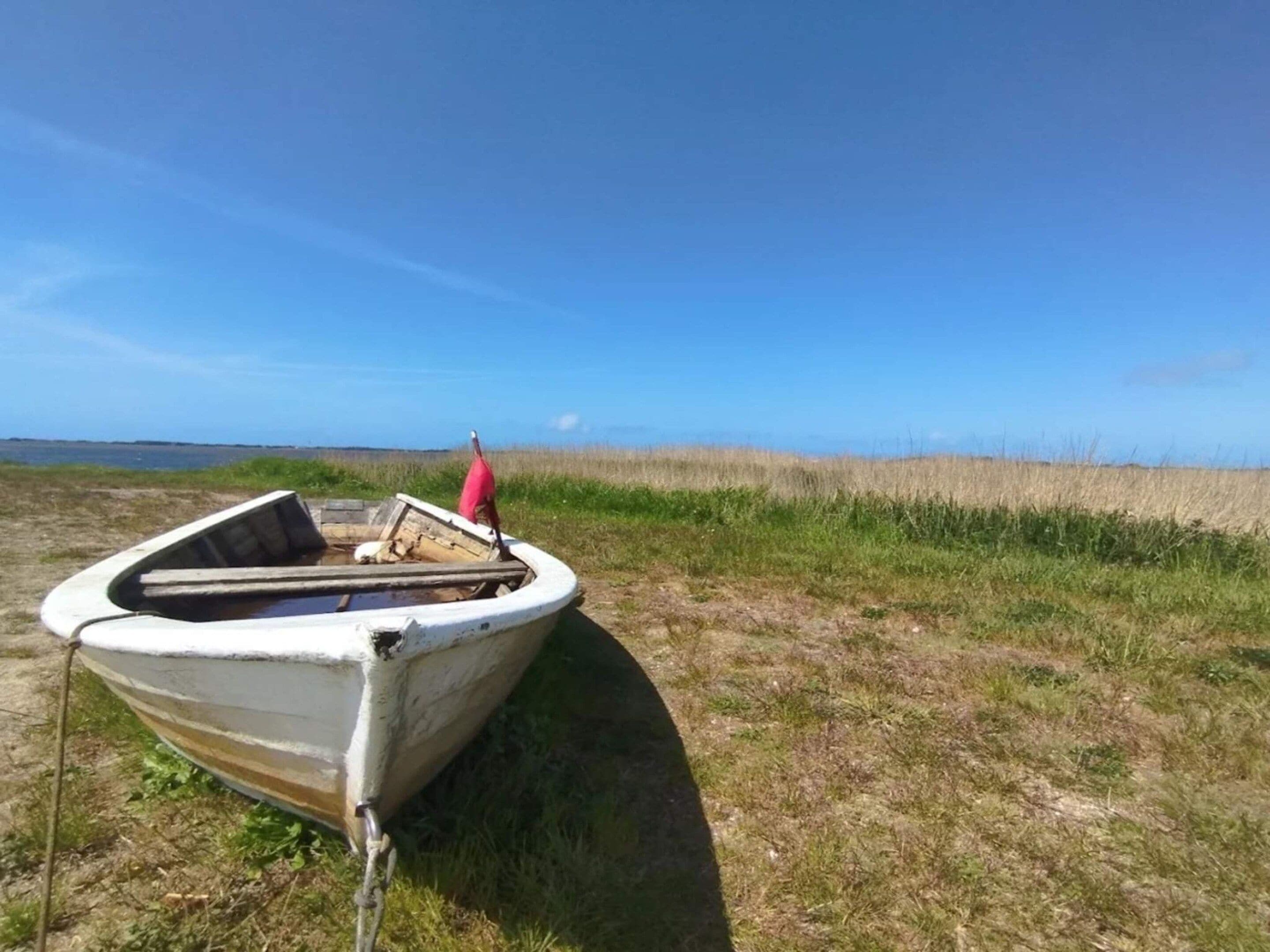 Een klein bootje met een rode vlag, vastgemaakt aan een grasveld in de buurt van water.