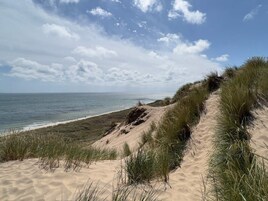 Una playa con dunas de arena y pastos.