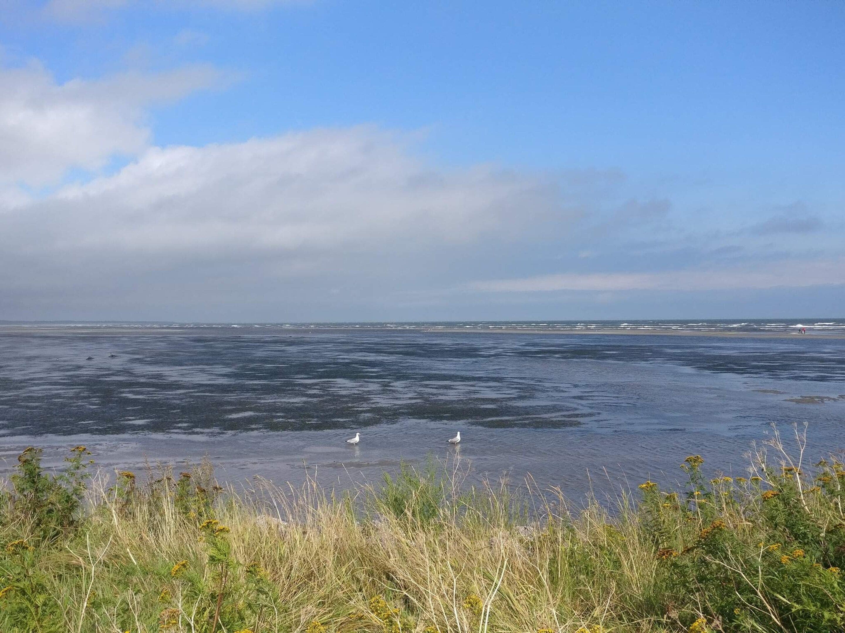 Eine Küstenlandschaft mit weitem Wasserblick und einer fernen Küstenlinie.