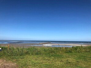 A beach with clear skies, a sandy shore, and grassy areas.