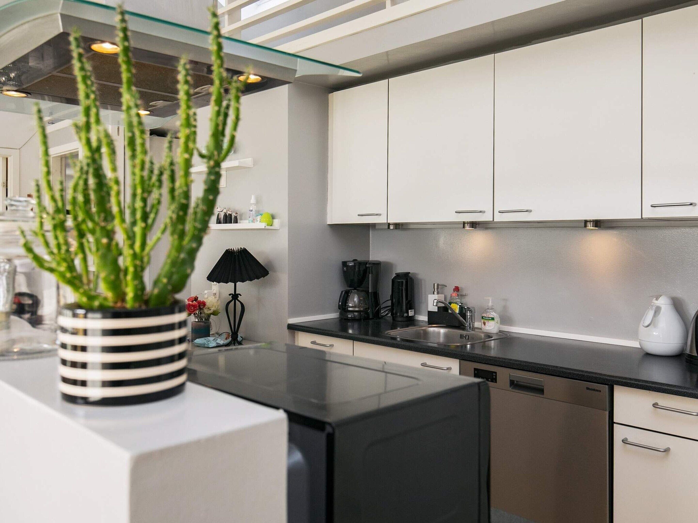 Una cocina moderna con armarios blancos, encimera negra y lavavajillas. Hay una planta en maceta sobre la encimera y una cafetera.