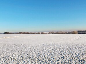 Vista desde la propiedad