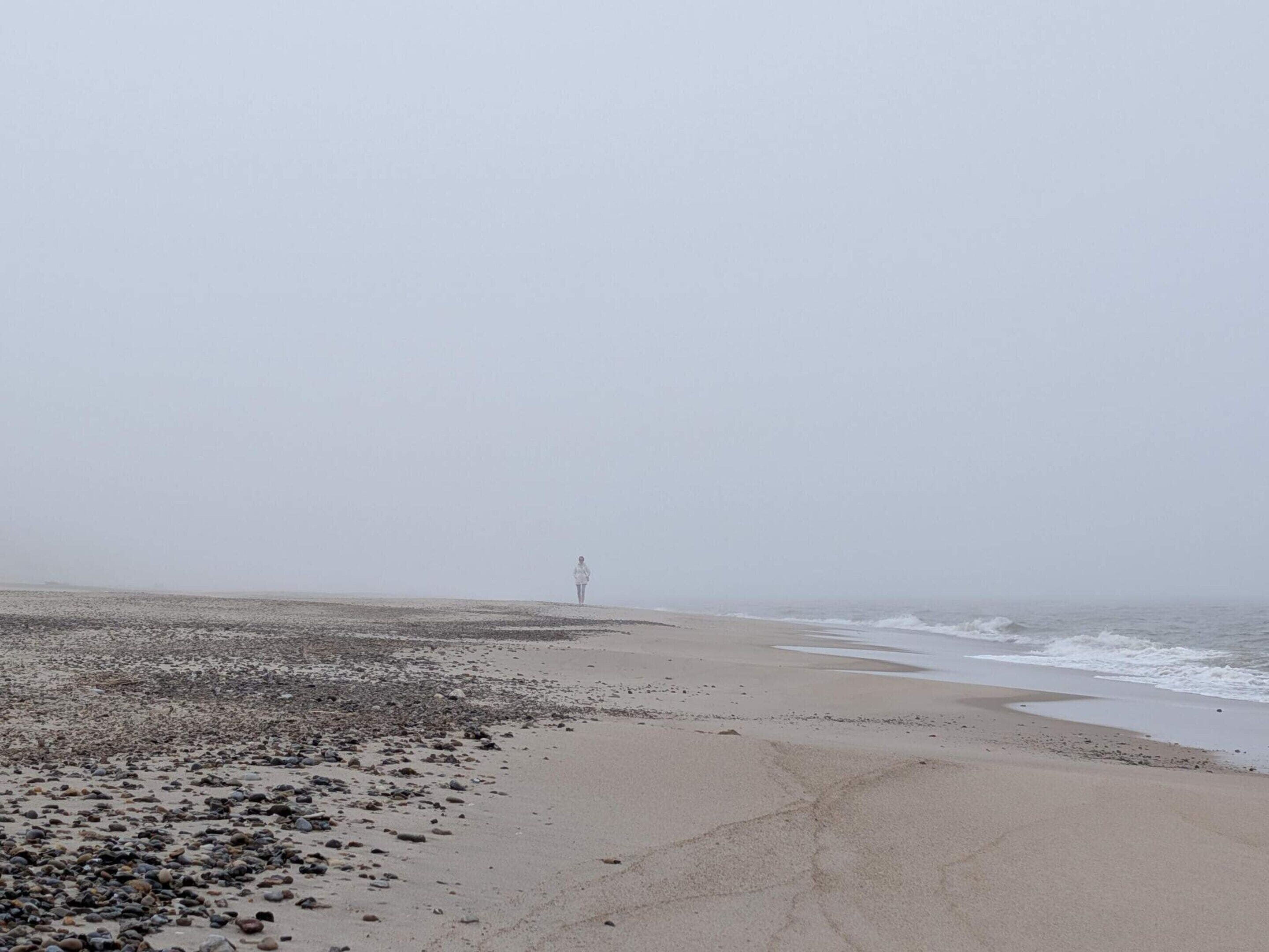하우스 | 수변 전망