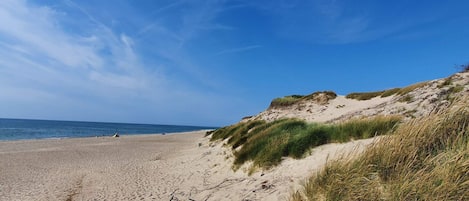 A beach with sand dunes and a clear sky.