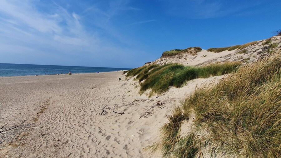 10 Person Holiday Home in Ulfborg
