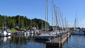 Casa | Vista desde la propiedad