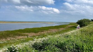 A coastal path with grassy areas and a view of the sea. - 8 Person Holiday Home in Hadsund (Hadsund)