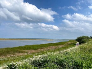 A coastal path with grassy areas and a view of the sea. - 8 Person Holiday Home in Hadsund (Hadsund)