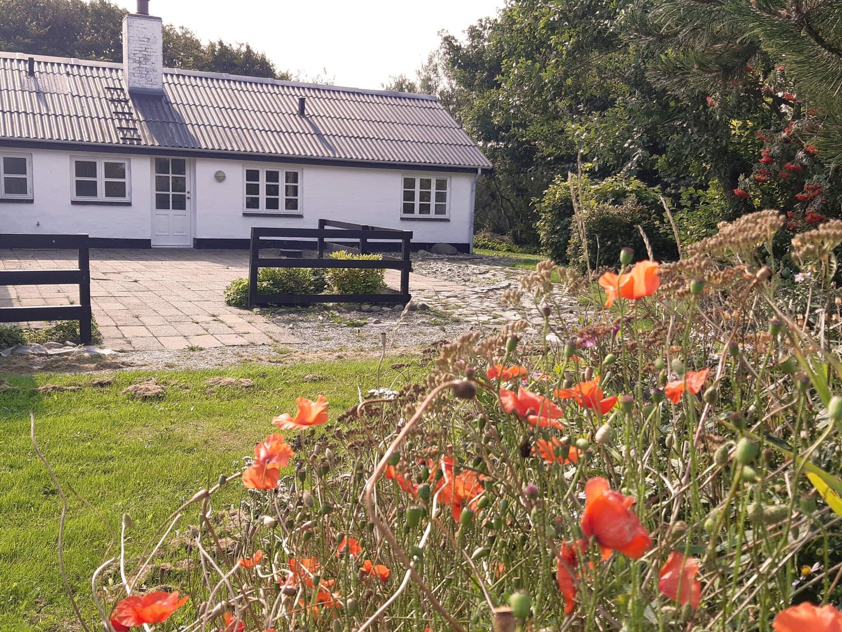 House | Property grounds