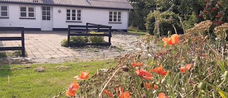 House | Property grounds