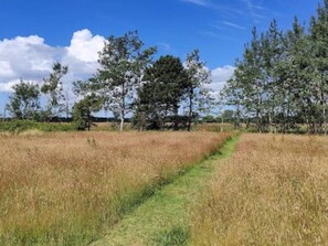 A grassy field with a narrow path leading through it, surrounded by trees. - 4 Person Holiday Home in Hals (Hals)