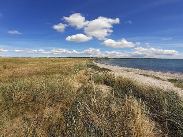 A coastal landscape with a sandy beach and grassy dunes. - 4 Person Holiday Home in Hals (Hals)