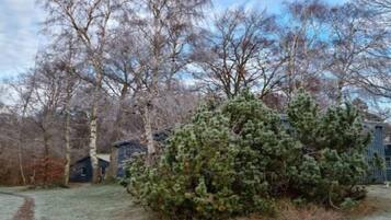 Apartment | Exterior